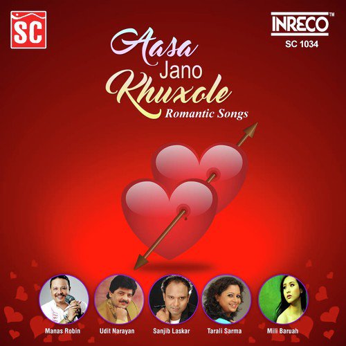 Rupohi Gahoru - Various Artists