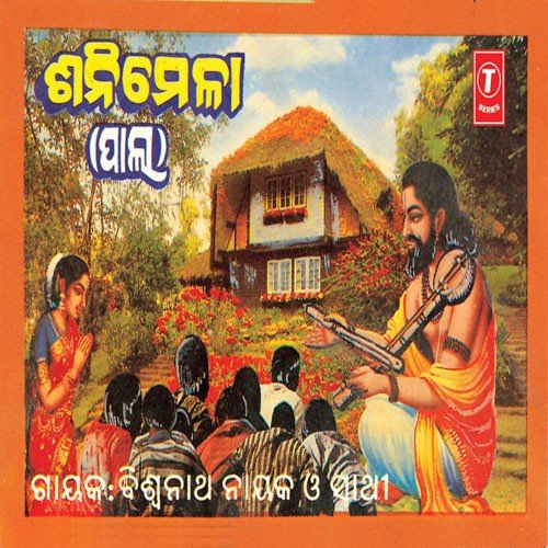 Sani Mela - Various Artists