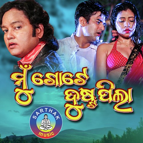 Charitankia Tora Kanaphula - Bidyadhara Sahu