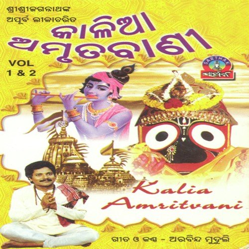 Bichitra Karma - Arabinda Muduli