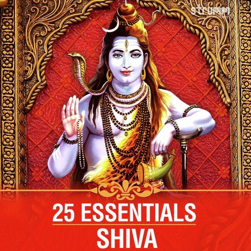 Om Namah Shivay - Traditional - Anuradha Paudwal, Rajesh Gupta