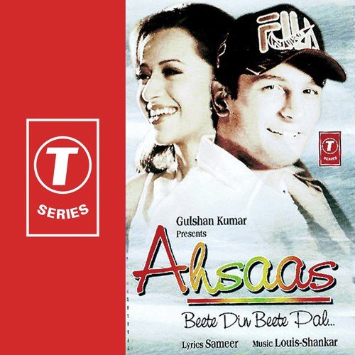 Beete Din Beete Pal - Louis-Shankar, Anuradha Paudwal