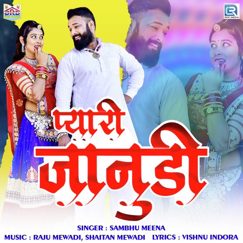 Pyari Janudi - Hardev Mewadi