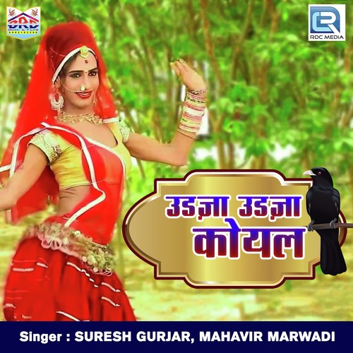 Udja Udja Koyal - Suresh Gurjar, Mahavir Marwadi