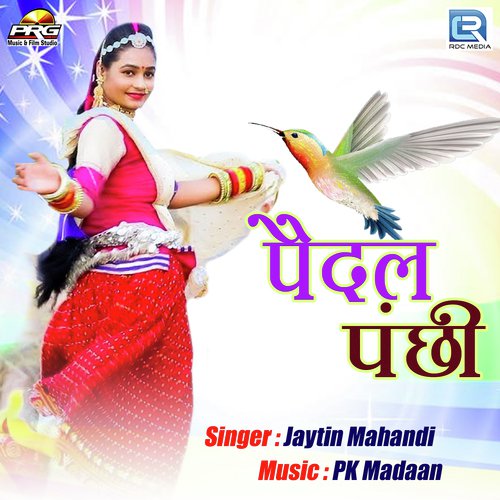 Pedal Panchhi - Jaytin Mahandi