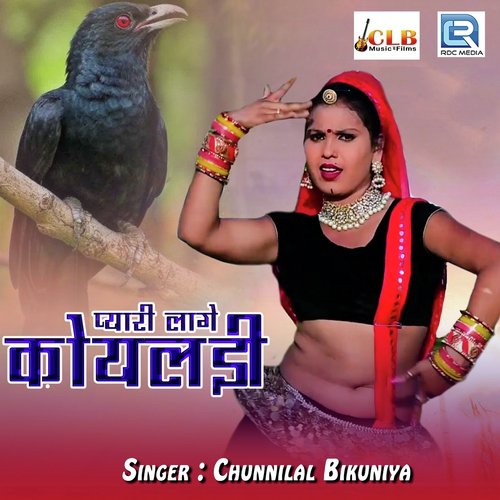 Pyari Lage Koyaldi - Chunnilal Bikuniya