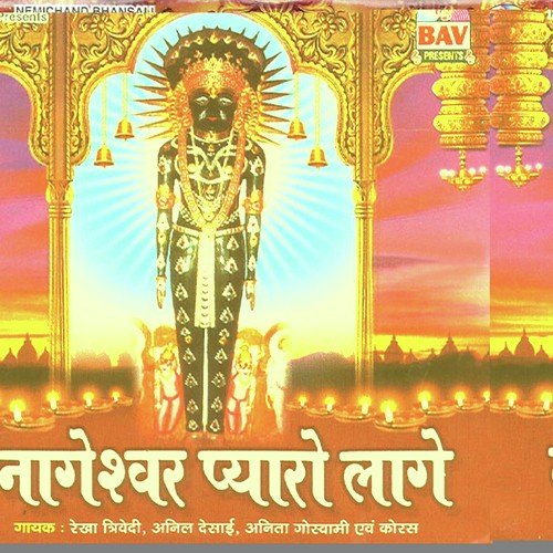 Jap Jap Maala Jap Lo - Anil Desai, Anita Goswami