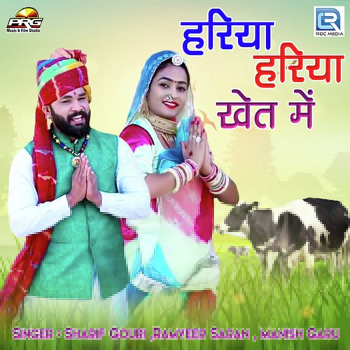 Hariya Hariya Kheta Mein - Sharif Gouri, Ramveer Saran, Manish Garu