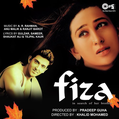 Tu Fiza Hai - Sonu Nigam
