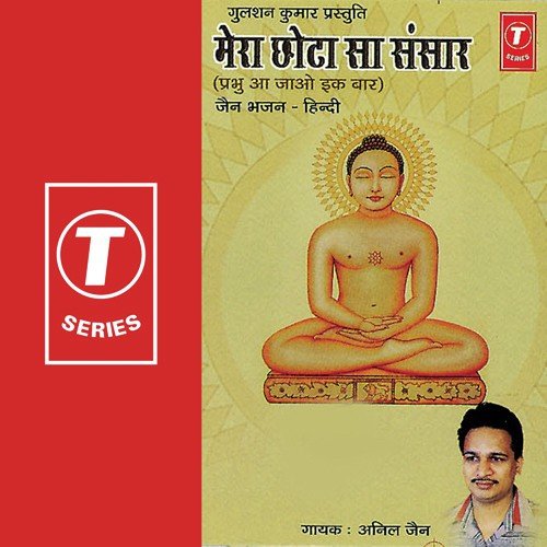 Saade Chodisaven Avtaar - Anil Jain, Chandrashekhar Gadgil