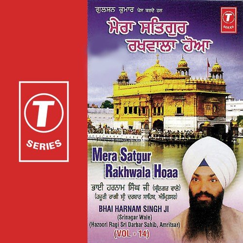 Tarat Punit Pai Gun Gaye - Bhai Harnam Singh-Srinagar Wale