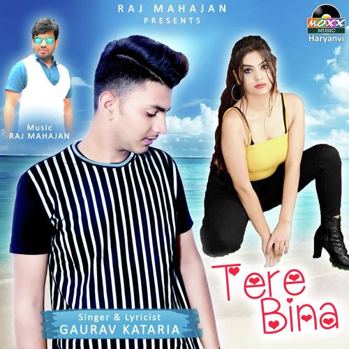 Tere Bina - Vinu Gaur