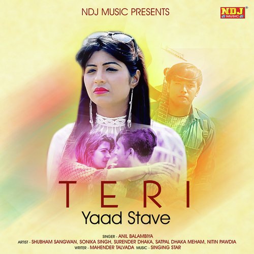 Teri Yaad Stave - Anil Balambiya