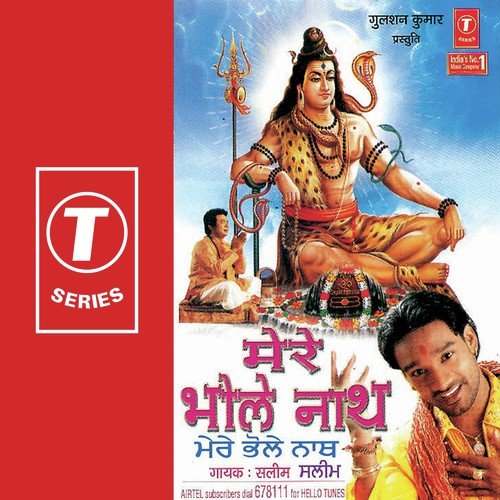 Jai Shiv Shankar - Saleem, Saleem-Parvez
