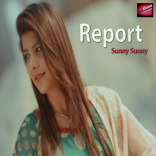 Report - Sunny Sunny