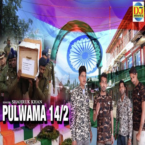Pulwama 14 2 - Shahruk Khan