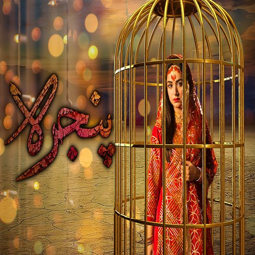 Pinjra - Rahat Fateh Ali Khan