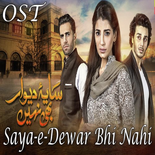 Saya E Dewar Bhi Nahi - Rahat Fateh Ali Khan