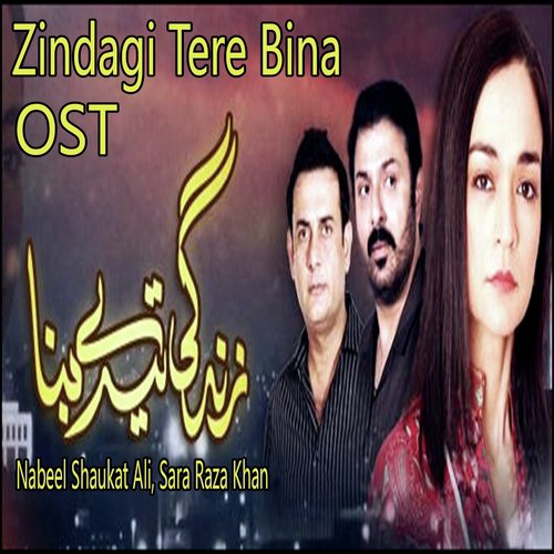 Zindagi Tere Bina - Nabeel Shaukat Ali, Sara Raza Khan