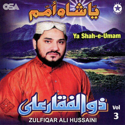 Rokh Laiti Hai Aap Ki Nisbat - Zulfiqar Ali Hussaini