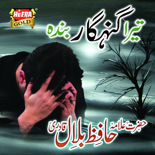 Tera Gunehgar Banda - Syed Shahid Qadri