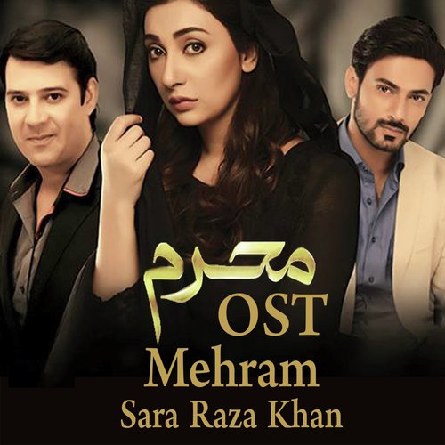 Na Mehram Humsafar - Najam Sheraz