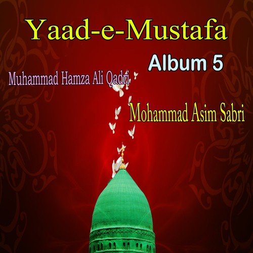 La Ilaha Illallah - Mohammad Asim Sabri, Muhammad Hamza Ali Qadri