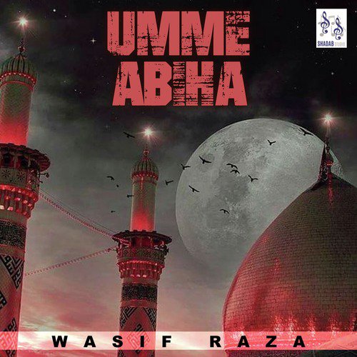 Umme Abiha - Wasif Raza