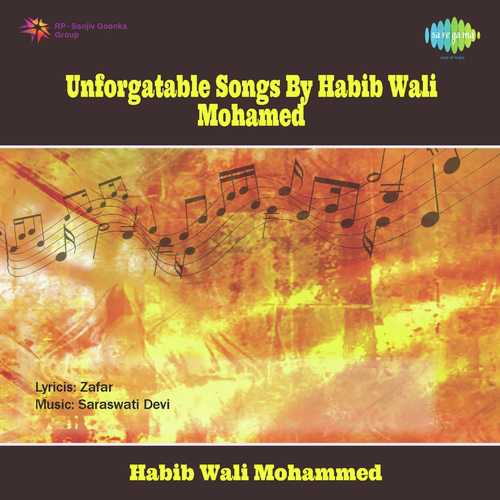 Yeh Na Thi Hamari Qismat - Habib Wali Muhammad