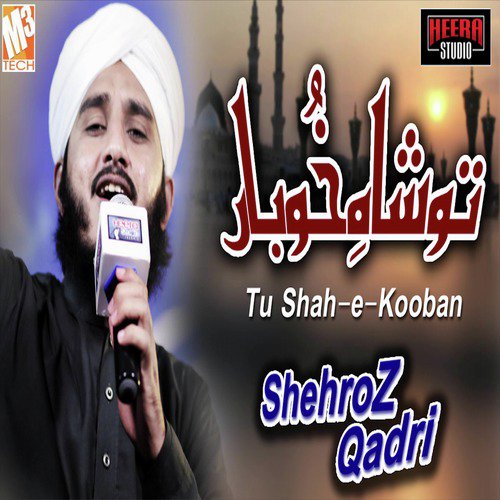 Tu Shah E Kooban - Shehroz Qadri