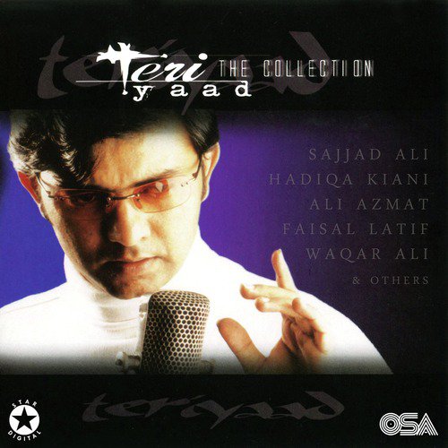 Des Pardes - Various Artists