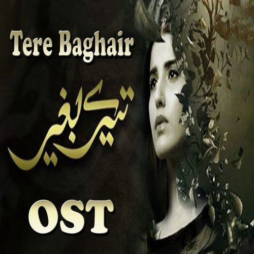 Tere Baghair - Sanam Marvi