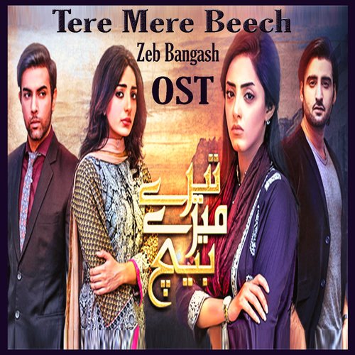 Tere Mere Beech - Zebunnisa Bangash