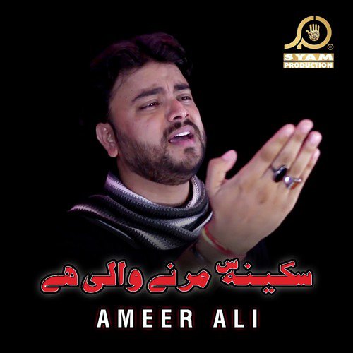 Kon Hai Ali Jaisa - Ameer Ali