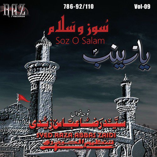 Tashnagi Mashk O Alam - Syed Raza Abbas Zaidi