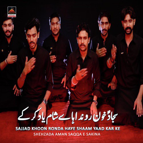 Zakhmi Hai Bohat Naib e Haider Ka Janaza - Shehzada Aman Saqqa e Sakina