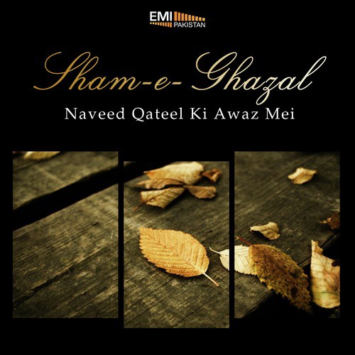 Ajab Hi Zamane Ka - Naveed Qateel