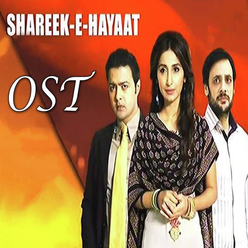 Shareek E Hayat - Sahir Ali Bagga