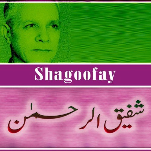 Darpok - Shafiq Ur Rehman