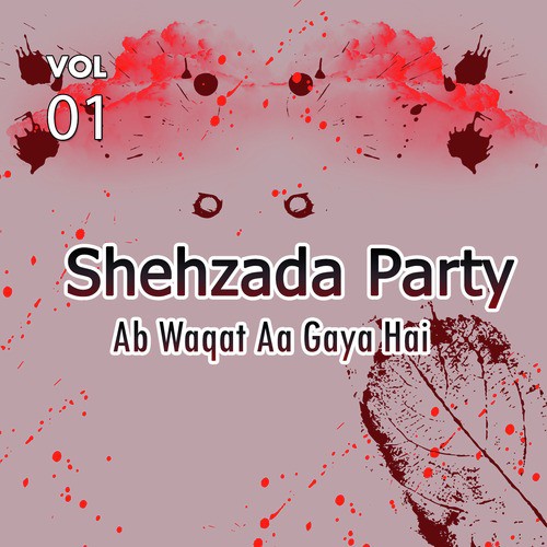 Ab Waqt Aa Gaya Hai - Shehzada Party