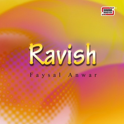 Hum Hain Dewane - Faysal Anwar