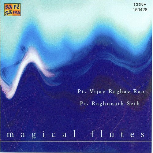 Call Of Love Pt.Raghunath Seth - Various Artists