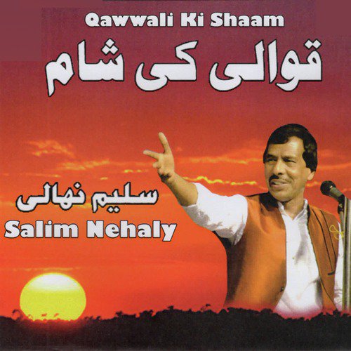 Dil Laga Liya Maine - Salim Nehaly