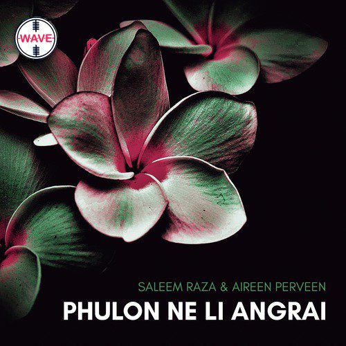 Phulon Ne Li Angrai - Saleem Raza, Aireen Perveen