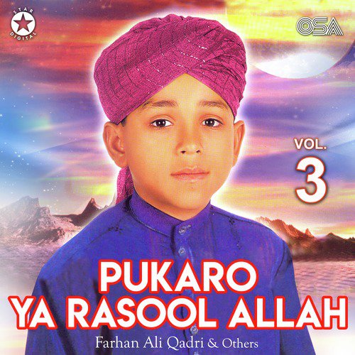 Pukaro Ya Rasool Allah - Various Artists