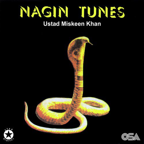 Onchi Onchi Duniya Ke Deewaren - Ustad Miskeen Khan