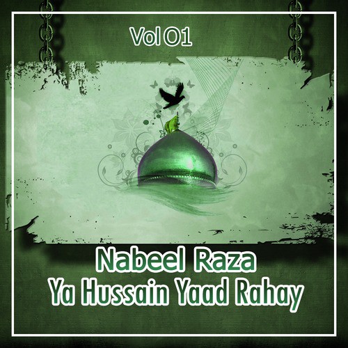 Sham Ka Hosh Na Hai - Nabeel Raza