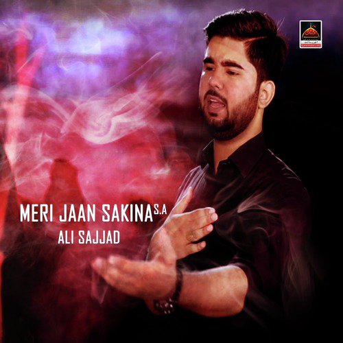Meri jaan Sakina S.a - Ali Sajjad