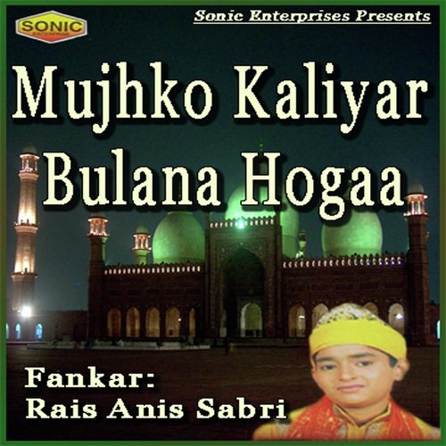 Suno Ganje Shakra Ke Lal Meri Jholi Bhardo - Rais Anis Sabri
