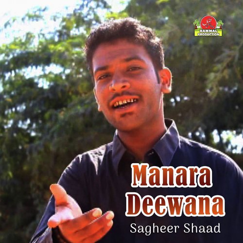 Tokey Rawey - Sagheer Shaad